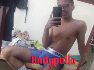 Andypolla