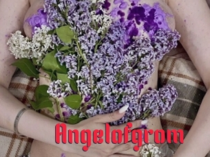 Angelofgrom