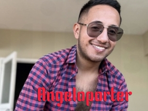 Angeloporter