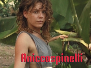 Aniccaspinelli