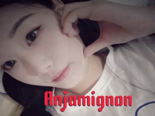 Anjamignon