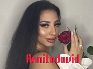 Annitadavid