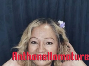 Anthonellamature