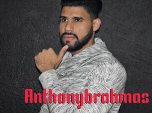 Anthonybrahmas