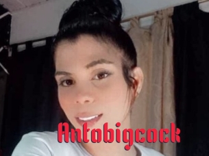 Antobigcock