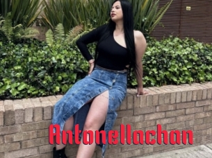 Antonellachan