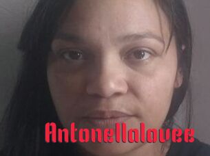 Antonellalovee