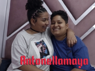 Antonellamaya