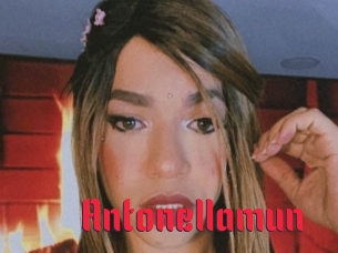 Antonellamun