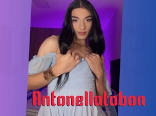 Antonellatobon