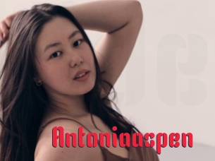 Antoniaaspen