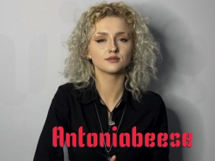 Antoniabeese