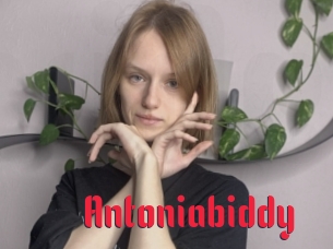 Antoniabiddy