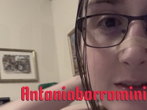 Antoniaborromini