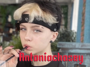 Antoniachasey