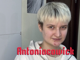 Antoniacowick