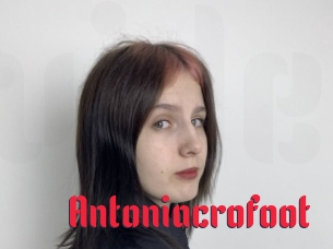Antoniacrofoot
