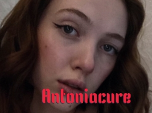 Antoniacure