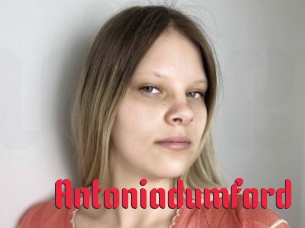 Antoniadumford