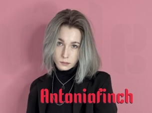 Antoniafinch