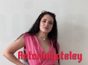 Antoniagateley