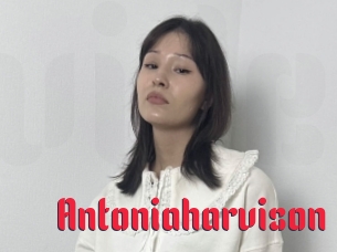 Antoniaharvison