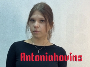 Antoniahavins