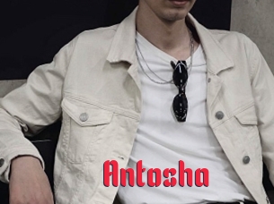 Antosha