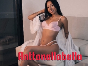 Anttonellabella