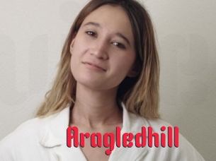 Aragledhill