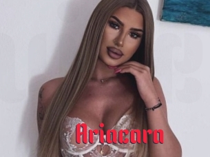 Ariacara