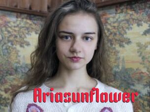 Ariasunflower