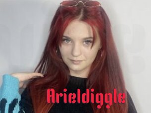 Arieldiggle