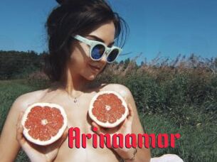 Arinaamor