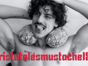Aristotelesmustache18
