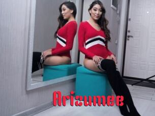 Arizumee