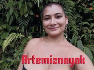 Artemiznayak