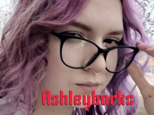 Ashleybarks