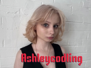 Ashleycodling