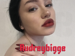 Audreybigge