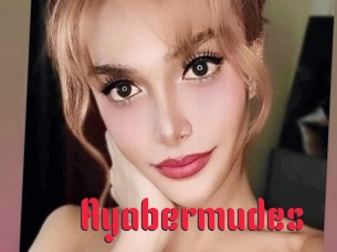 Ayabermudes
