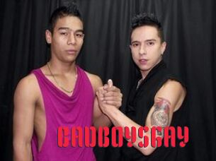 BADBOYSGAY