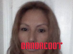 BANDACOOT
