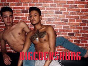 BIG_COCKS_HUNG