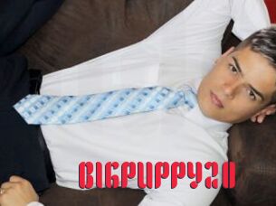 BIGPUPPY20