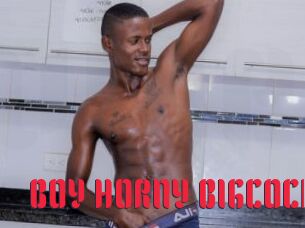 BOY_HORNY_BIGCOCK