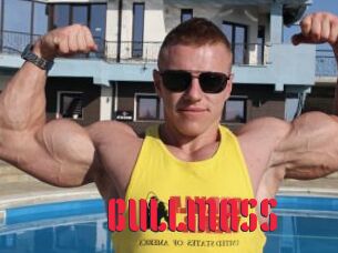 BULLMASS