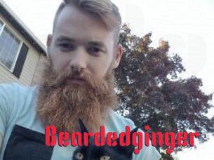 Beardedginger