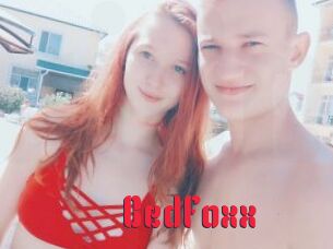 BedFoxx