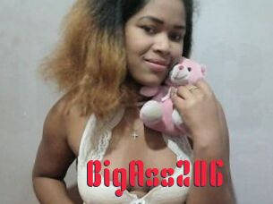 BigAss206